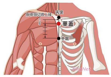 華蓋穴念佛 天運 年月日